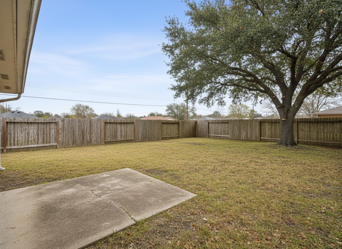 Before: the yard as submitted
